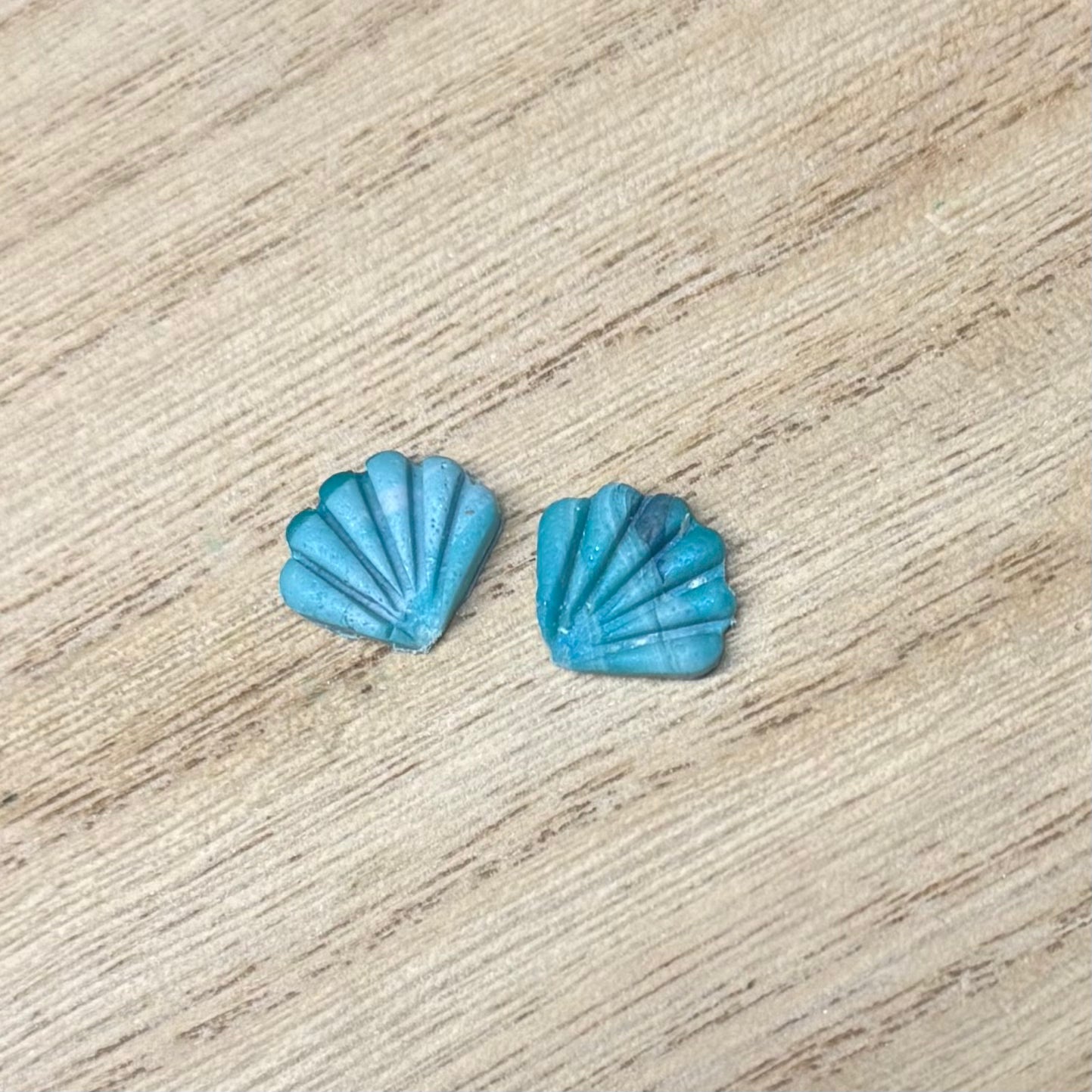 Seashell Earrings